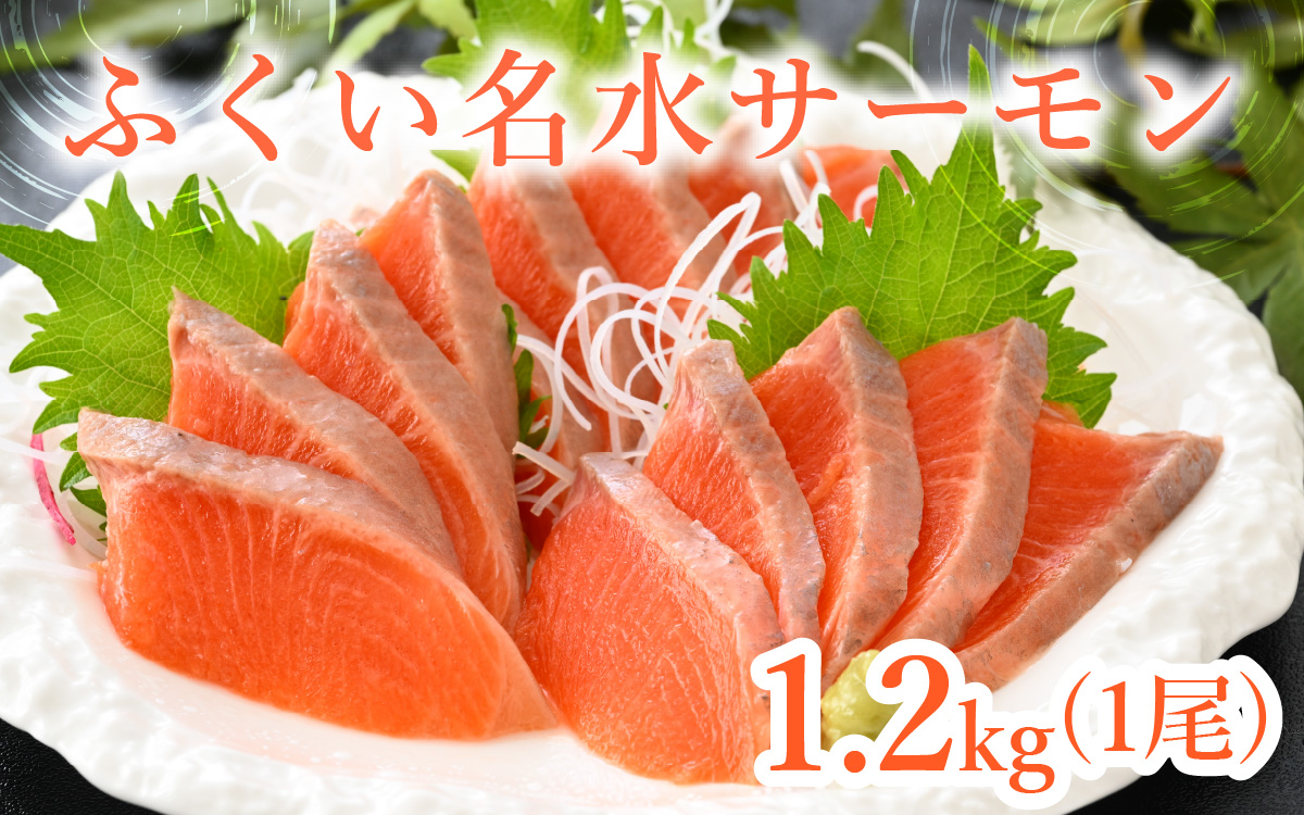 【希少】福井県大野市産 ふくい名水サーモン 1尾 約1.2kg（生食・加熱用）真空冷凍