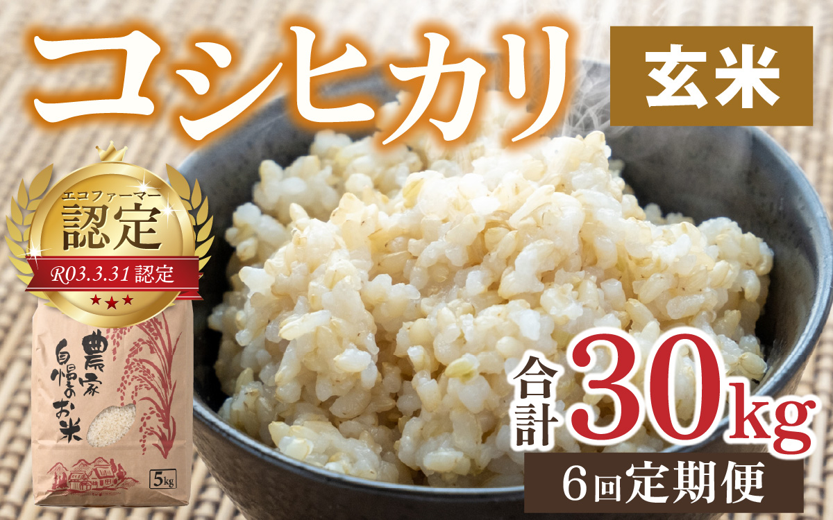 【令和7年産】【6ヶ月定期便】越前大野産 エコファーマー認定農家栽培こしひかり 玄米 5kg × 6回 計30kg