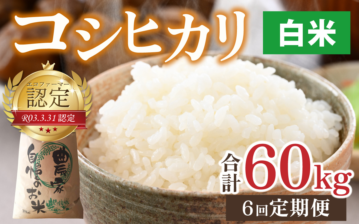 【令和7年産】【6ヶ月定期便】越前大野産 エコファーマー認定農家栽培こしひかり 白米 10kg × 6回 計60kg