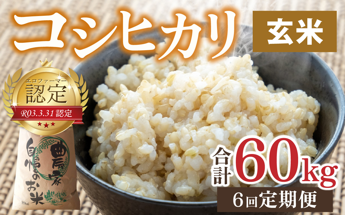 【令和7年産】【6ヶ月定期便】越前大野産 エコファーマー認定農家栽培こしひかり 玄米 10kg × 6回 計60kg