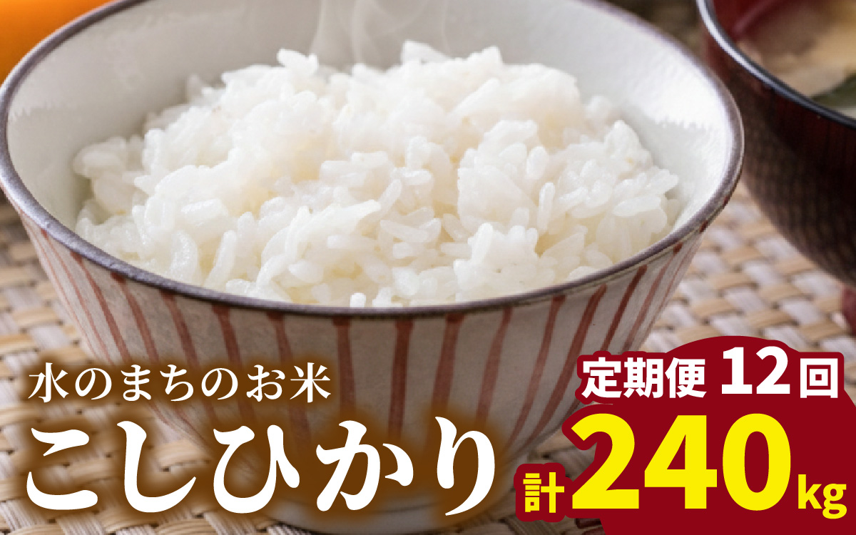 【令和7年産】【12ヶ月定期便】こしひかり 20kg×12回 計240kg（白米）「エコファーマー米」－水のまちのお米－[T-003001]