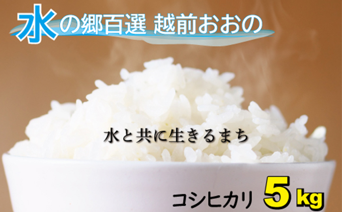 【令和7年産 新米】こしひかり（福井県大野市産）エコファーマー米（白米）5kg[A-003006]