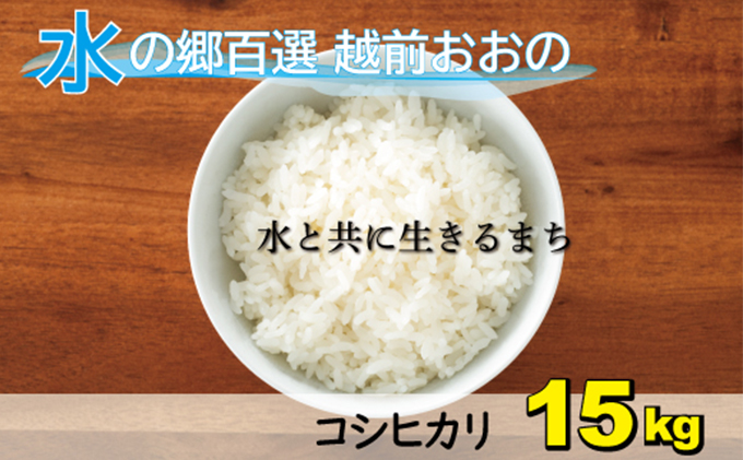 【令和5年産】こしひかり（福井県大野市産）エコファーマー米（白米）15kg（5kg×3袋）[B-003005]