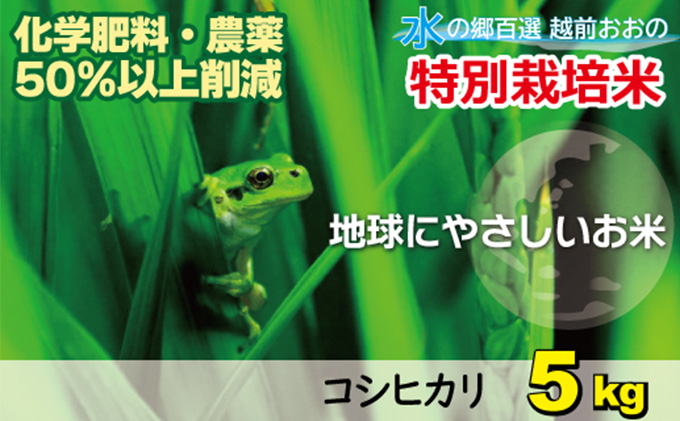 【令和7年産 新米】こしひかり（福井県大野市産） 福井県特別栽培米 5kg 【白米】[A-003005]