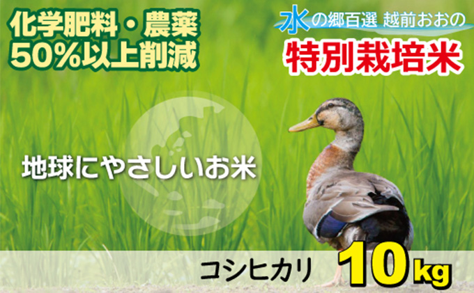 【令和7年産 新米】こしひかり 10kg 【白米】減農薬・減化学肥料 「特別栽培米」－地球にやさしいお米－[A-003008]