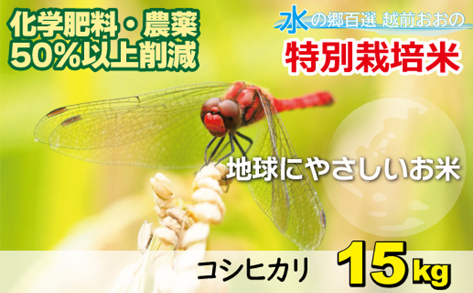 【令和5年産】こしひかり 15kg 【白米】減農薬・減化学肥料 「特別栽培米」－地球にやさしいお米－[B-003006]