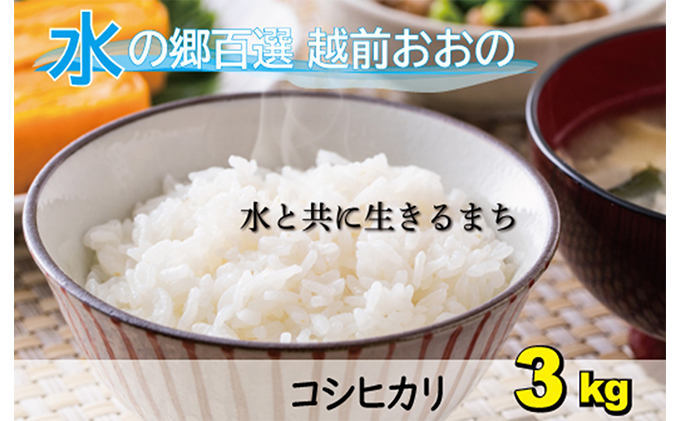 【令和7年産　新米】こしひかり（福井県大野市産） ・エコファーマー（白米）米3kg[A-003004]