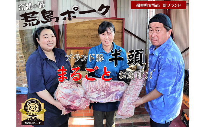 福井県大野市 新ブランド “奇跡の豚” 荒島ポーク 1/2頭まるごとセット 27～34kg ブロック