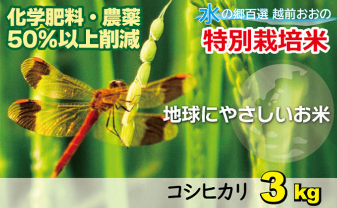 【令和7年産 新米】こしひかり（福井県大野市産） 福井県特別栽培米 3kg 【白米】[A-003003]