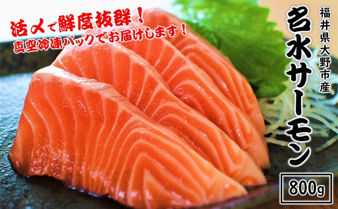 【数量限定】福井県大野市産 サーモン 「名水サーモン」 刺身 生食用  冷凍（皮なし・骨取り）約800g