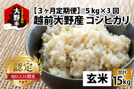 [令和6年産][3ヶ月定期便]越前大野産 エコファーマー認定農家栽培こしひかり 玄米 5kg × 3回 計15kg