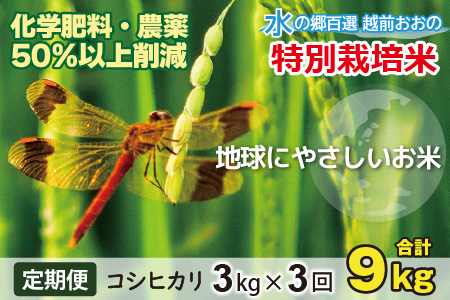 [令和7年産 新米][3ヶ月定期便]こしひかり 3kg × 3回 計 9kg[白米]減農薬・減化学肥料「特別栽培米」−地球にやさしいお米−[A-003001]