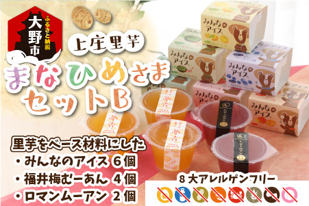 [アレルギー対応スイーツ]まなひめさまセットB(里芋ベースのゼリー風スイーツ&アレルギー特定原材料8品目不使用のアイス)[グルテンフリー][B-031002]|食物繊維 体に優しい 脂肪分ゼロ