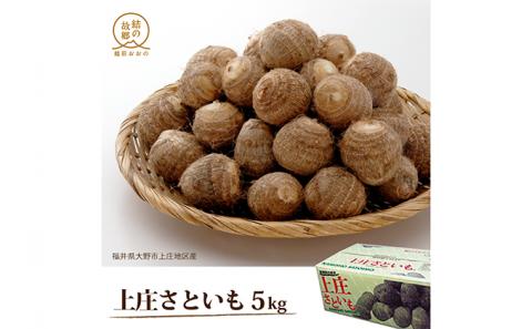 里芋のトップブランド「上庄さといも」 5kg[A-011019]
