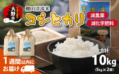 [令和6年産 新米]棚田清流米コシヒカリ 5kg×2袋[B-011002]