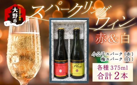スパークリングワイン小公子&福井梅 375ml 2本セット[数量限定]