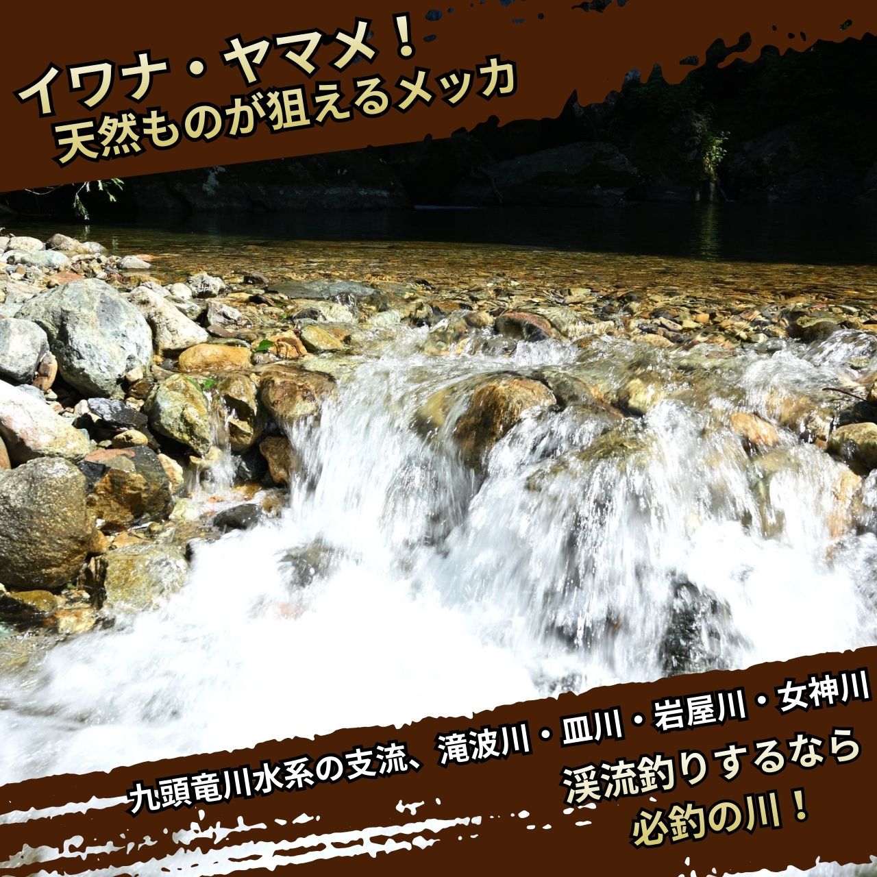 【2026年分】九頭竜川（勝山市漁協） 雑魚年券 1名様分 [A-001010]