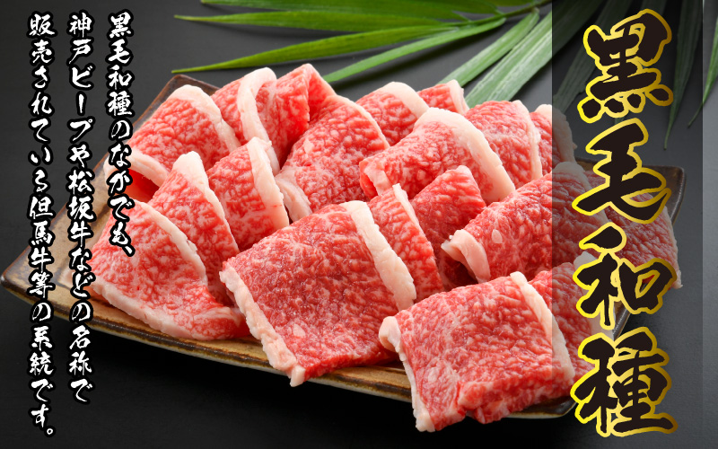 福井県内産若狭牛　やみつき焼肉(300g) [A-012002]