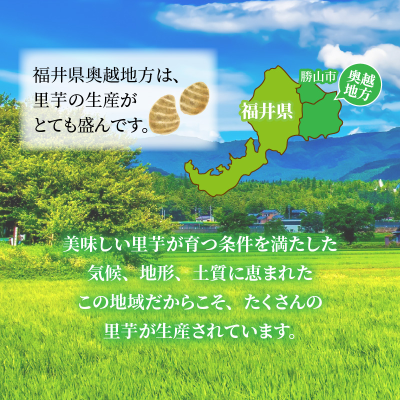 奥越産 皮むき里芋 1.2kg×2P（マル秘レシピ付き） [A-037009]