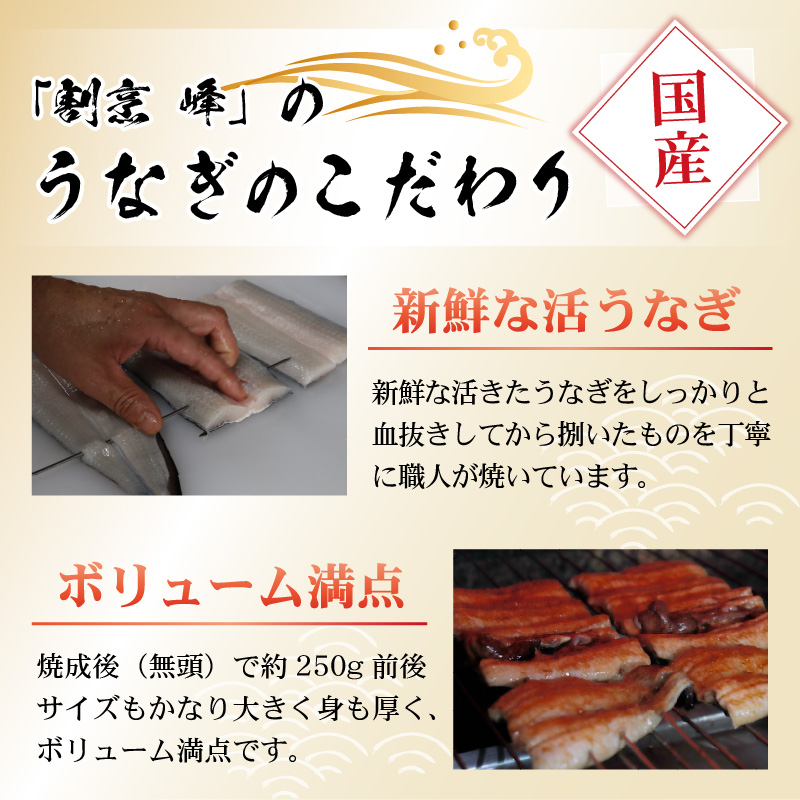 血抜きうなぎの蒲焼（無頭） 焼成後250g前後×1尾  国産 [A-044002]