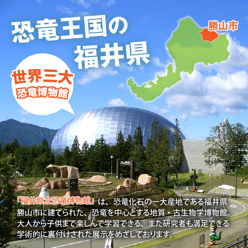 福井県立恐竜博物館 常設展観覧券 (小・中学生 3名様) [A-048012]
