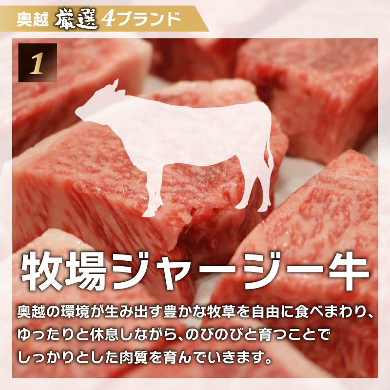 奥越4ブランドコラボ商品 プレミアムメンチ 約80g（2個入り×3 パック） [A-054003]