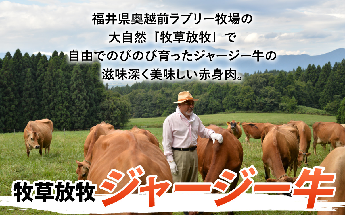 若狭牛＆放牧ジャージー牛 Ｗハンバーグ 九頭竜まいたけデミグラスソース[A-054005]