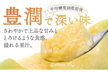  勝山産アールスメロン 1個入り（青肉）※2026年7月下旬より順次発送 [A-060005]