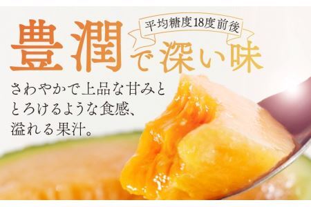 勝山産アールスメロン 1個入り（赤肉）※2026年7月下旬より順次発送 [A-060006]