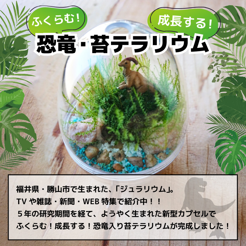 恐竜＋苔＋天然石が作り出す、癒やしの自然空間！ ジュラリウム Sサイズ [A-070001]