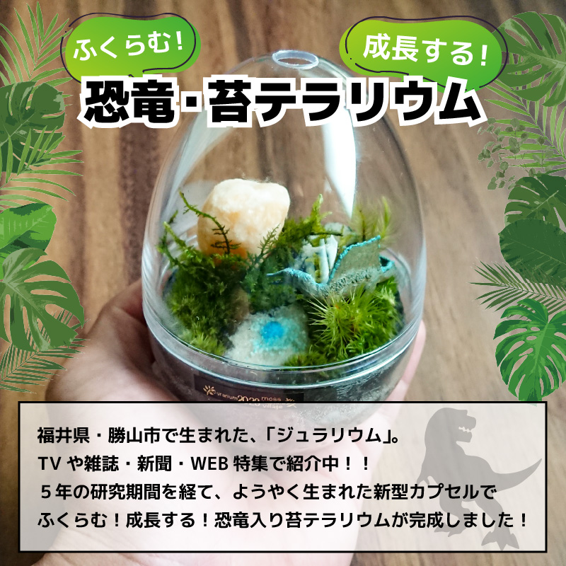 恐竜＋苔＋天然石が作り出す、癒やしの自然空間！ ジュラリウム Mサイズ [A-070002]