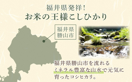 【勝山市産】田中さんちのコシヒカリ 精米 5kg [A-080006]