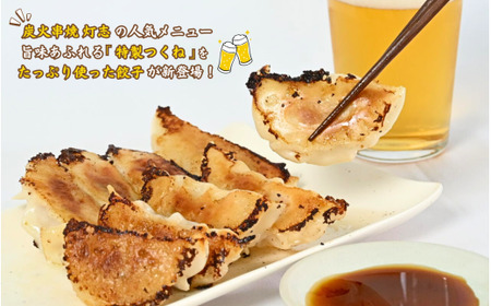 焼鳥屋さんの鶏つくね餃子　10個入り　3パック　［A-084002］