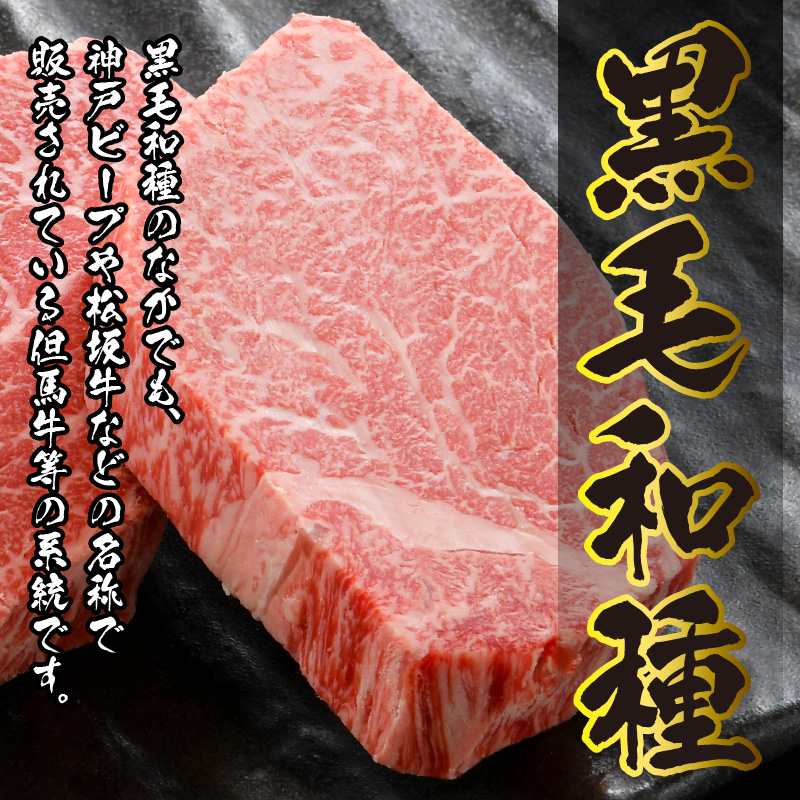福井県産若狭牛ステーキ(モモ肉)約200g×3枚&すき焼き・しゃぶしゃぶ肉300gセット [B-012007]