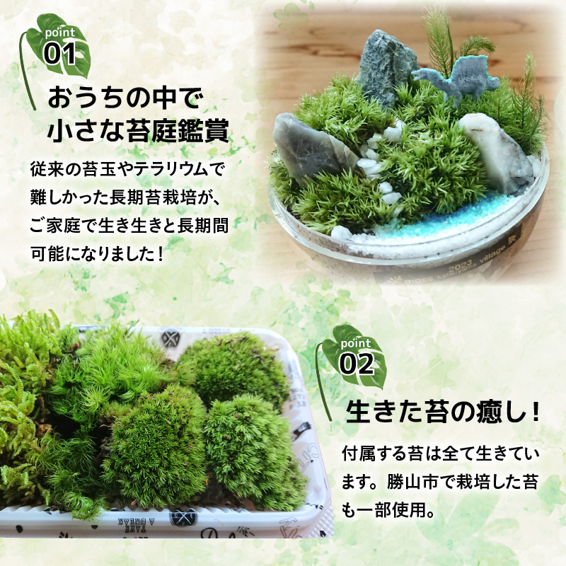 恐竜＋苔＋天然石が作り出す、癒やしの自然空間！ ジュラリウム手作りキット [B-070001]