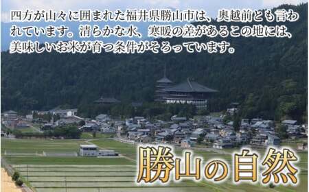 【令和7年産 新米】勝山産 コシヒカリ ちゃまごん米 精米 10kg [C-010018]