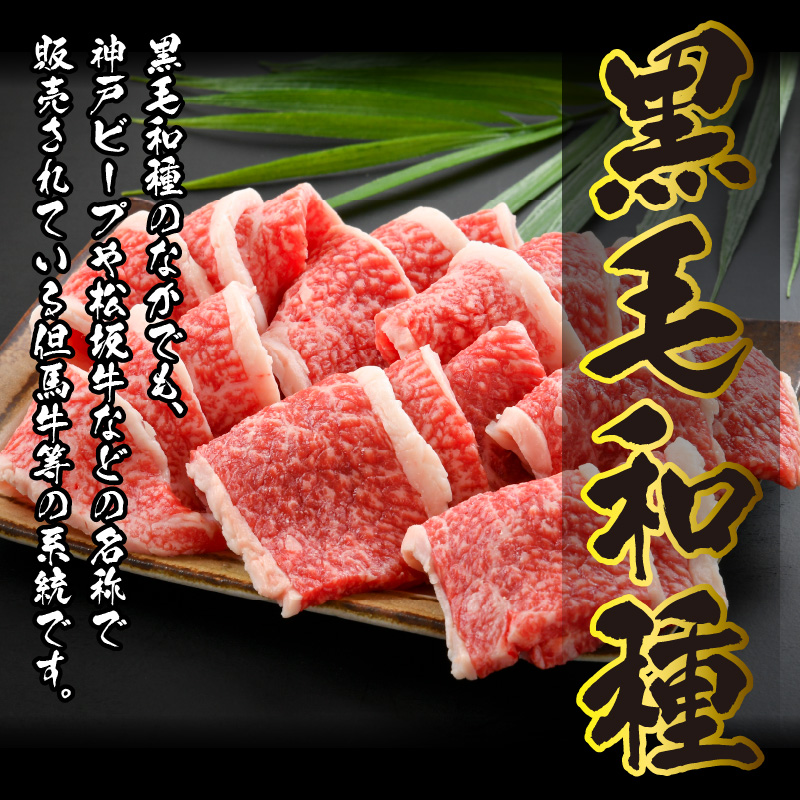 福井県内産若狭牛やみつき焼肉(900g) [C-012002]