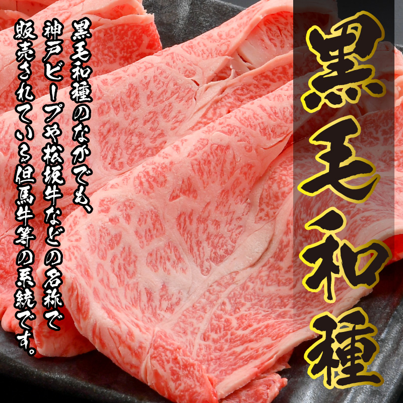 福井県内産若狭牛とろけるすき焼　しゃぶしゃぶ(900g) [C-012006]