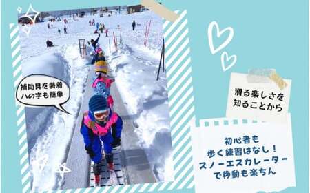 【大人】【マスター270分】スキー グループレッスン 受講券（1名様） [E-033006]