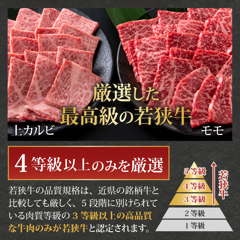 【福井のブランド牛肉】若狭牛 焼肉食べ比べセット 1kg（上カルビ500g×1パック、モモ500g×1パック） [E-058002]