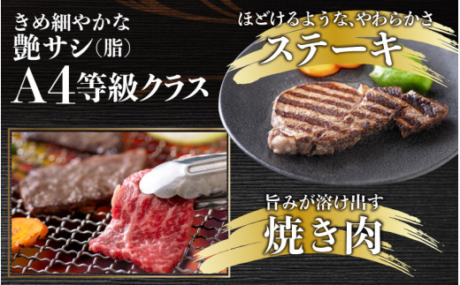 【肉の定期便×12回コース】肉好き大集合！若狭牛 食べ比べ 定期便！【福井のブランド牛肉】【4等級以上】 [O-058002]