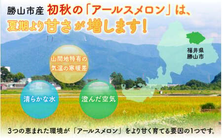 【令和8年産 先行予約】若猪野アールスメロン 2kg 以上 3玉 箱入り ※2026年8月下旬より順次発送 [A-011015]