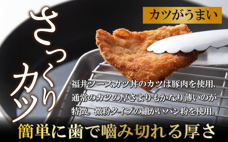 福井名物 ソースカツ丼セット9人前 [A-037020]