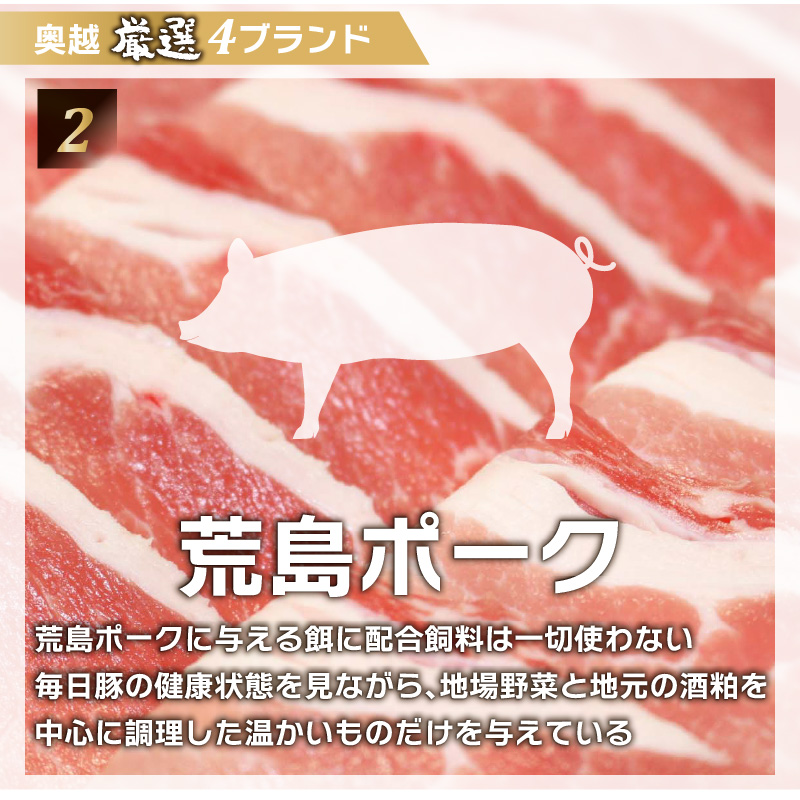 奥越4ブランドコラボ商品 プレミアムメンチ 約80g（2個入り×3 パック） [A-054003]