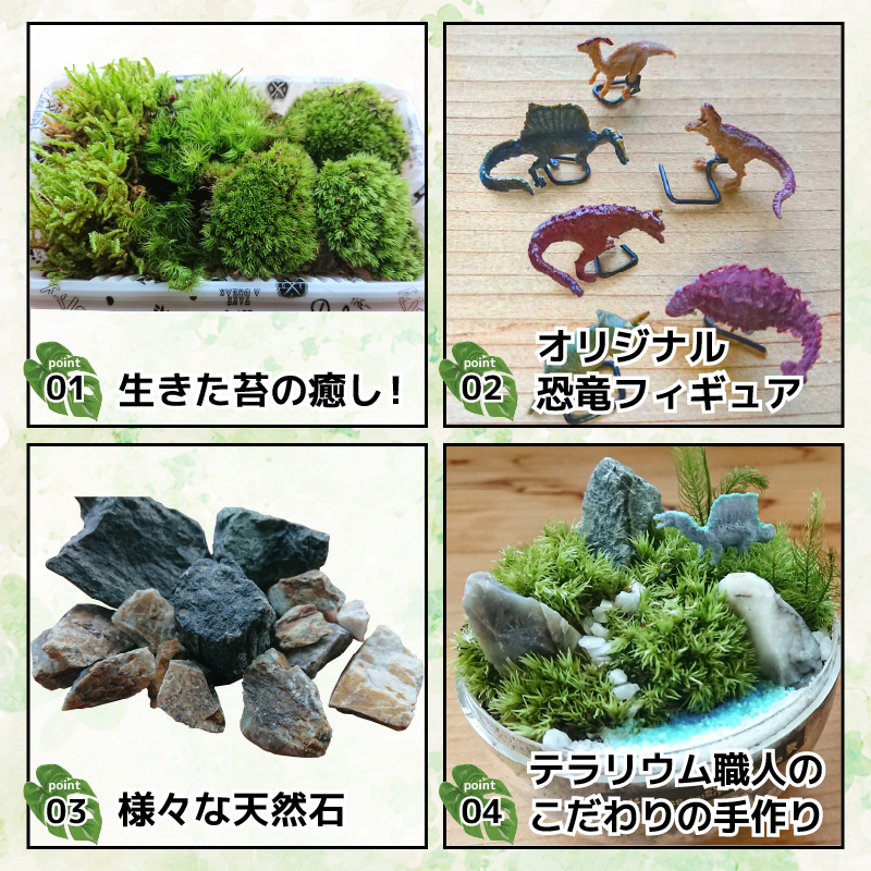 恐竜＋苔＋天然石が作り出す、癒やしの自然空間！ ジュラリウム Mサイズ [A-070002]
