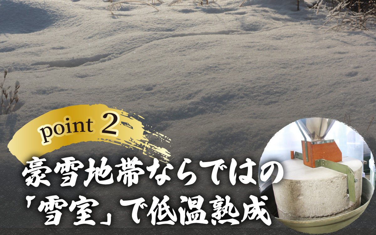 雪室半生そば 5人前（100g/1人前×5個セット） 濃縮だし付 [A-077005]