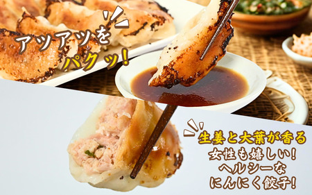 焼鳥屋さんの鶏つくね餃子　10個入り　2パック　［A-084001］