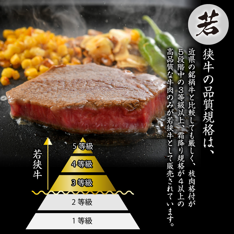 福井県産若狭牛ステーキ(モモ肉)約200g×3枚&切り落とし300gセット [B-012006]