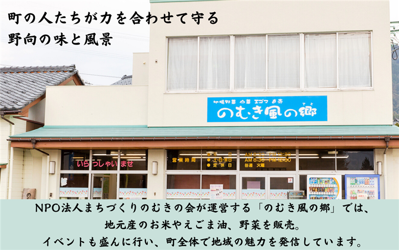 令和7年 のむき風の郷コシヒカリ特別栽培米（精米)　5kg × 2袋（10kg）【B-024004】
