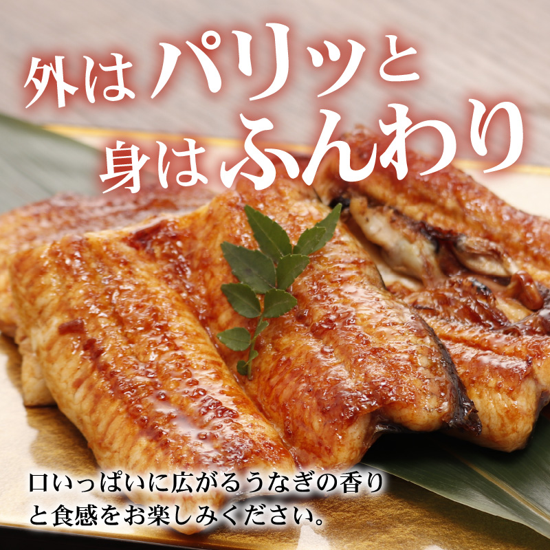 血抜きうなぎの蒲焼（無頭）焼成後250g前後×2尾  国産 [B-044001]